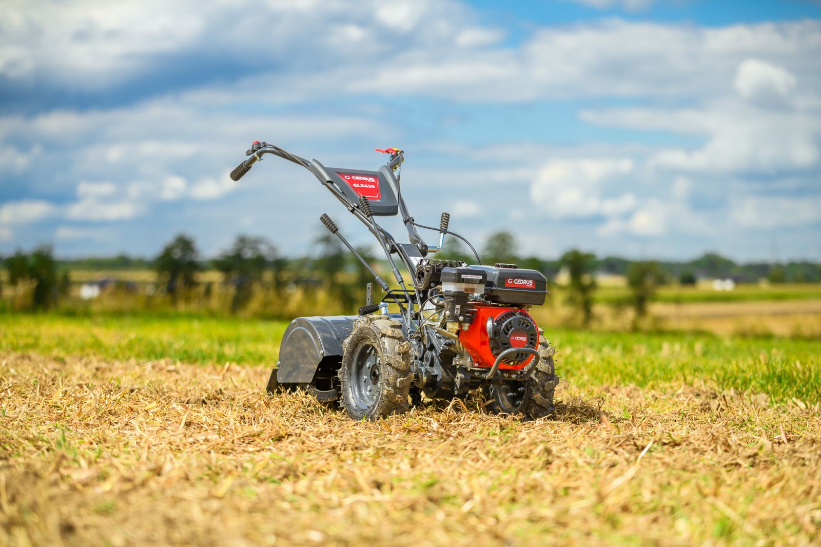 glebogryzarka cedrus