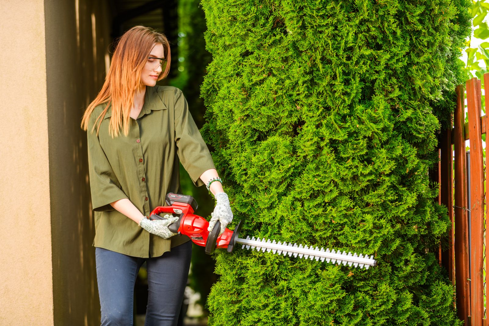 Nożyce do żywopłotu Cedrus HT510Li