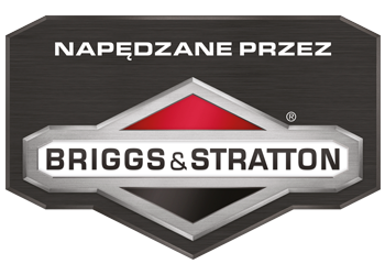 logo Briggs and Stratton
