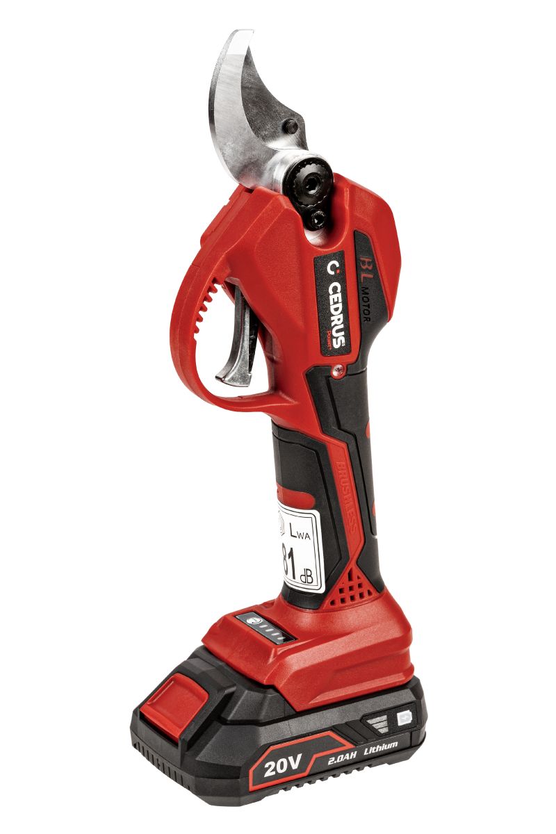 Sekator akumulatorowy Cedrus CEDBPB40LI-SET