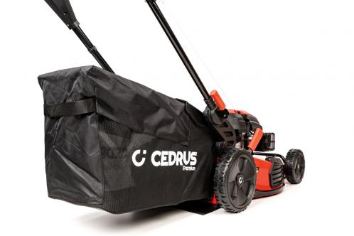 kosiarka cedrus premium z napędem cedlp53s