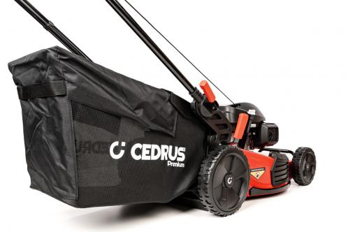 kosiarka cedrus premium z napędem cedlp53s-h