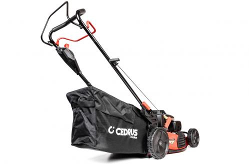 kosiarka cedrus premium z napędem cedlp53s-l