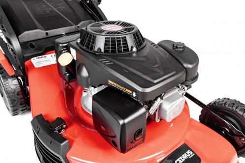 kosiarka cedrus premium z napędem cedlp53s-l