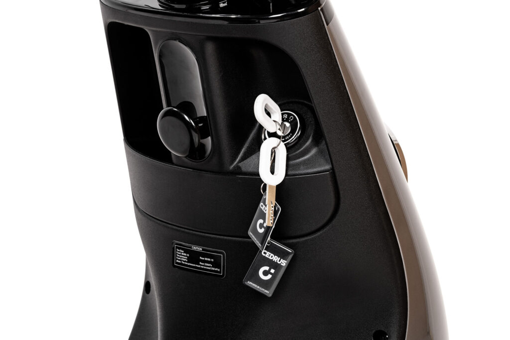 Skuter elektryczny Cedrus by Luyuan C-GO-2G-ZQQ2 szary 17