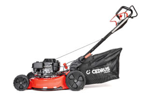Kosiarka Cedrus Premium z napędem CEDLP53S-L 10
